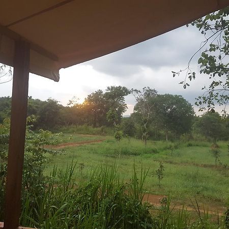 Asharo Sigiriya Villa Kültér fotó