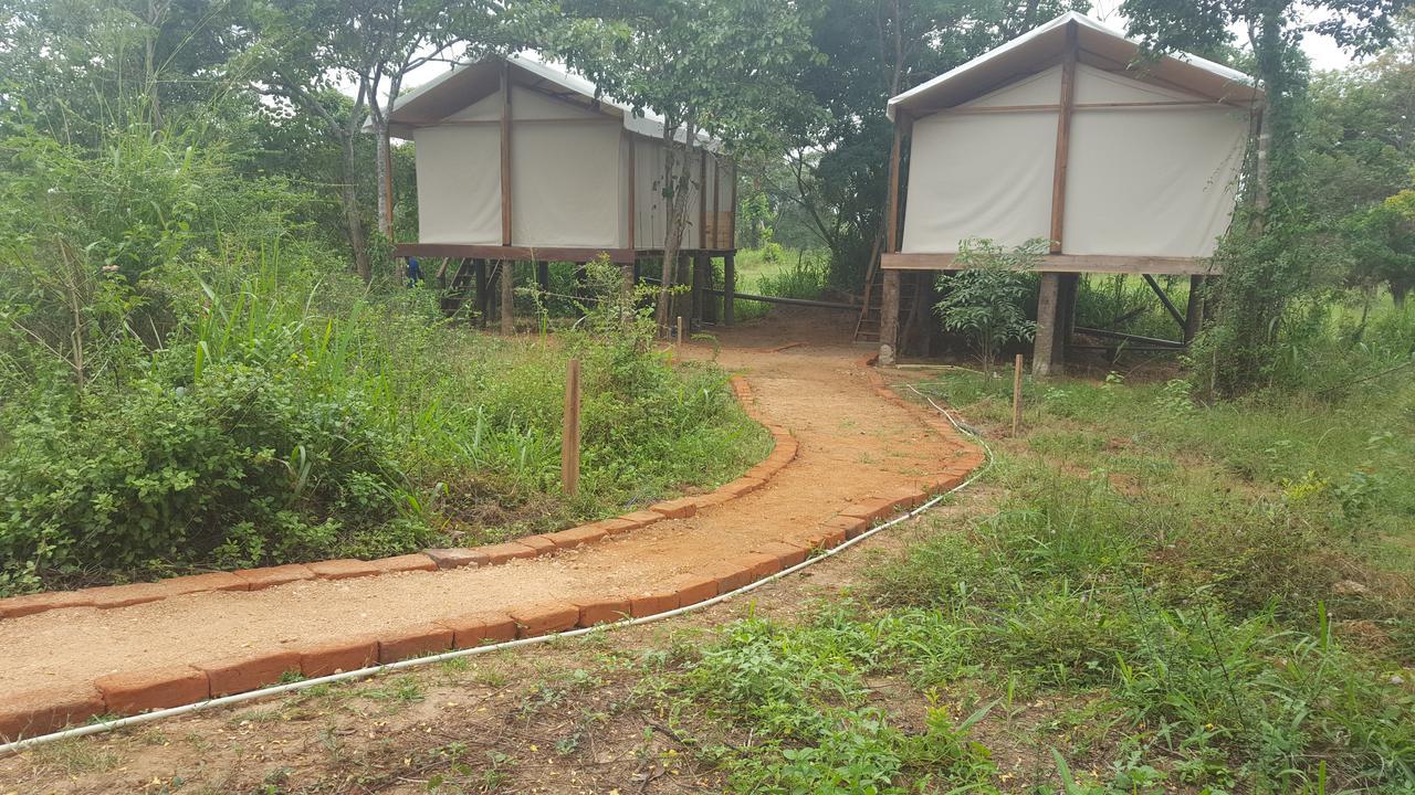 Asharo Sigiriya Villa Kültér fotó