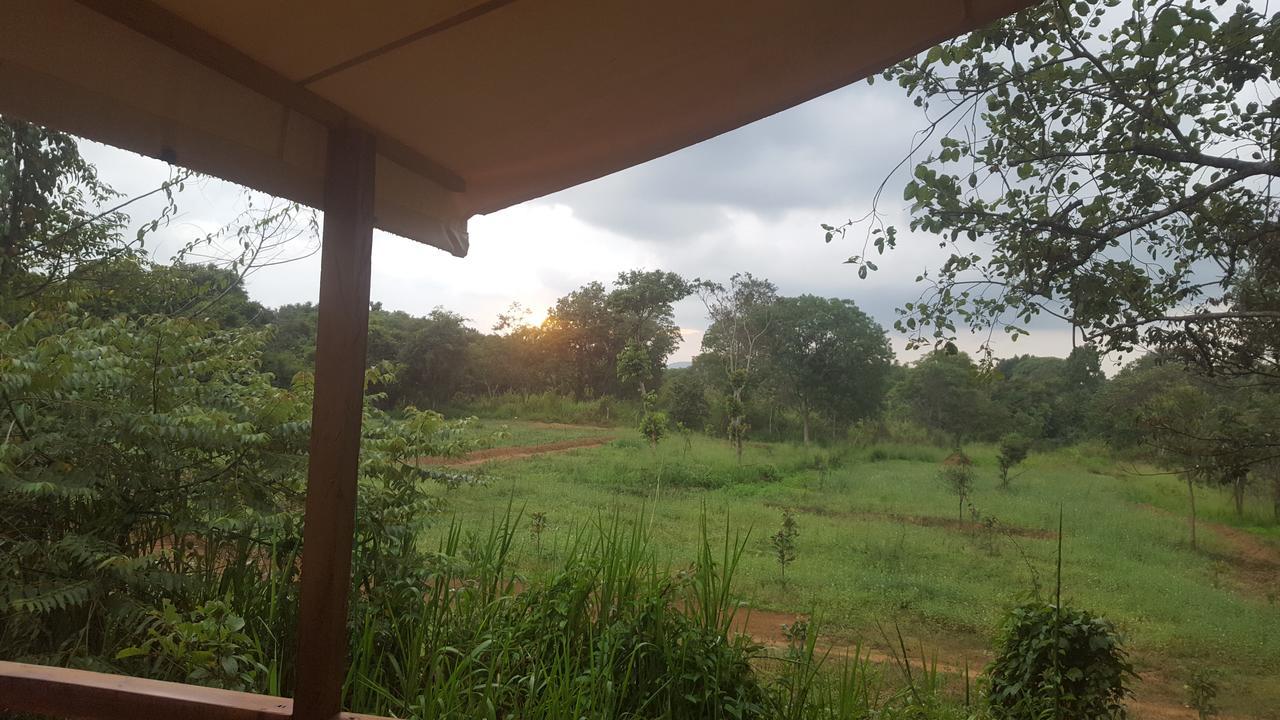 Asharo Sigiriya Villa Kültér fotó