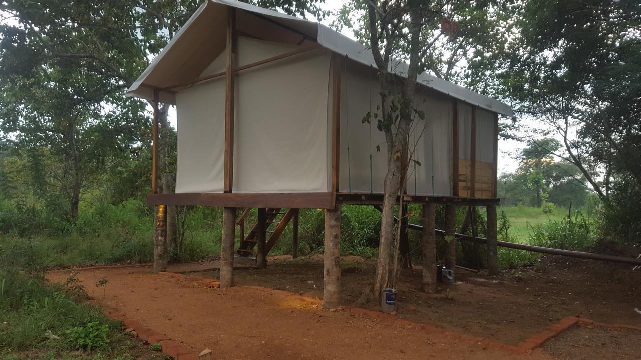 Asharo Sigiriya Villa Kültér fotó
